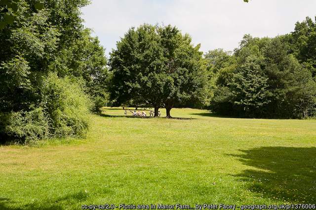 Grassy picnic area in Manor Farm Country Park